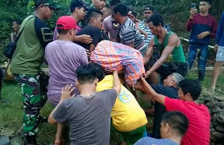 Wanita Indonesia tewas, satu lagi hilang dalam 2 serangan buaya