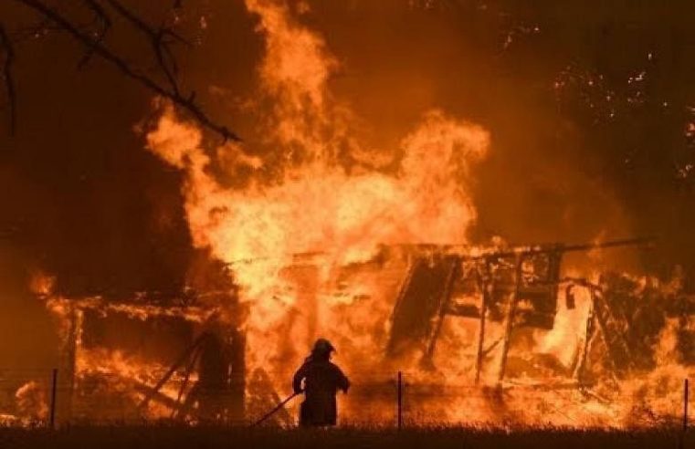 Kebakaran hutan Australia mengancam infrastruktur air Sydney