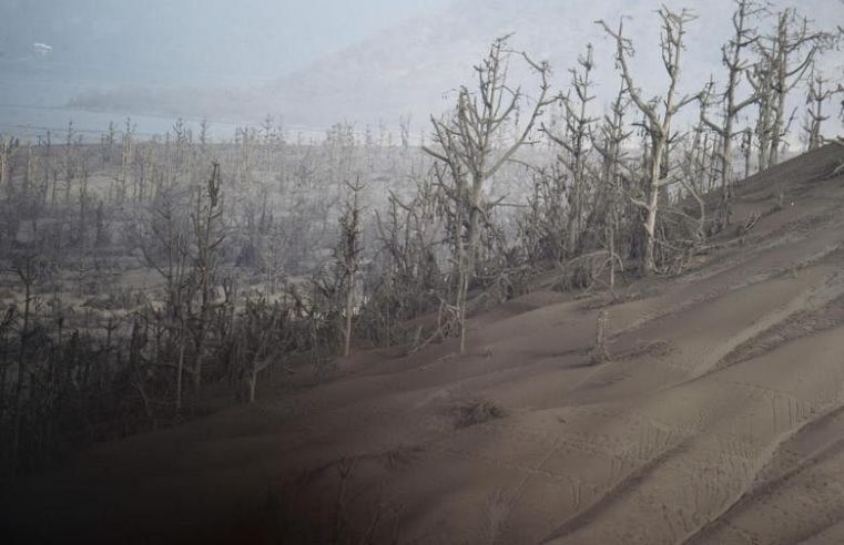 Tanda-tanda kehidupan di ‘tanah tak bertuan’ di sekitar gunung berapi Filipina