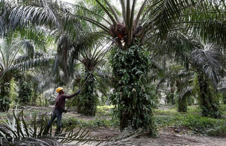 $ 1,89 miliar minyak sawit berada dalam baku tembak ketika Mahathir Malaysia membuat marah India