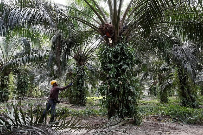 $ 1,89 miliar minyak sawit berada dalam baku tembak ketika Mahathir Malaysia membuat marah India