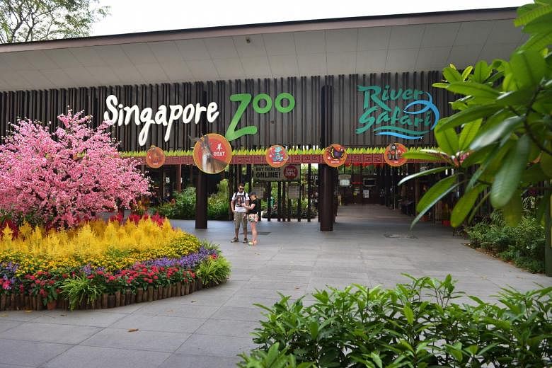 Pemberitahuan hukum disampaikan kepada 3 perusahaan untuk mencurangi tawaran untuk kontrak Singapore Zoo, Night Safari